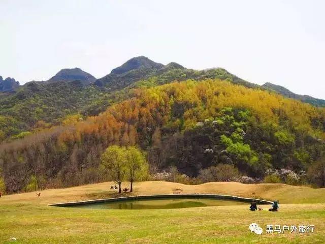 克林斯曼：一度落后韩国下半场找回主动，2-2的结果勉强能接受